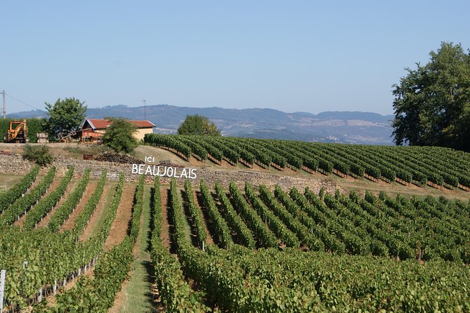 Beaujolais & Perouges Medieval Town (9:00 am to 5:15 pm - Small Group Tour Lyon - Bellecour Square to Châtillon d’Azergues