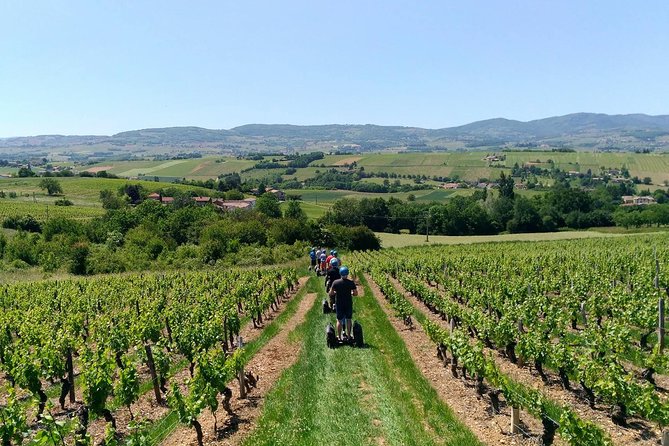 Beaujolais Segway Tour with Wine Tasting - Meeting the vineyards near Val d’Oingt
