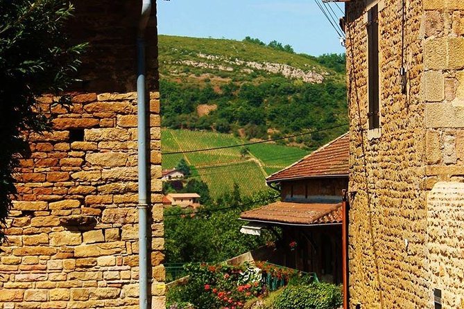 Beaujolais wine tour from Lyon half day - Why this half-day trip works from Lyon