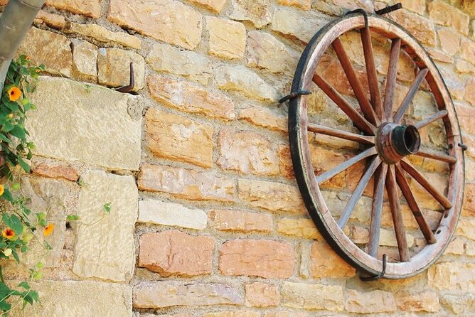 Beaujolais wine tour from Lyon half day - What you may taste in Beaujolais