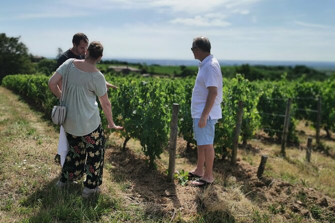 Beaujolais wine tour from Lyon half day - The guide makes or breaks a short wine tour