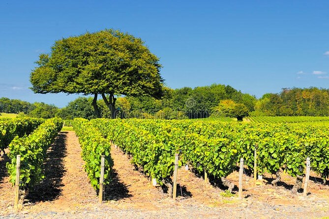 Beaujolais wine tour from Lyon half day - The drive into the Pierres Dorées area