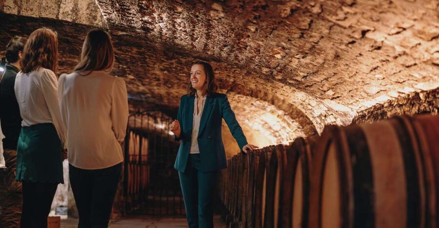 Beaune: Maison Champy Guided Cellar Tour with Wine Tasting - What the guide explains about Burgundy wine