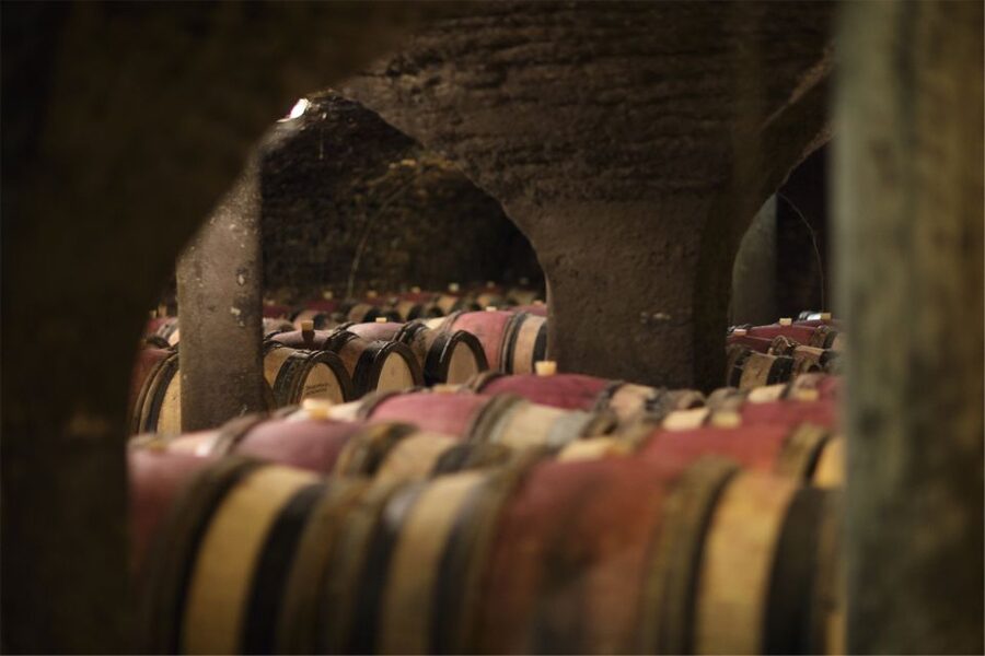 Beaune: Maison Champy Guided Cellar Tour with Wine Tasting - The five-wine tasting at the end