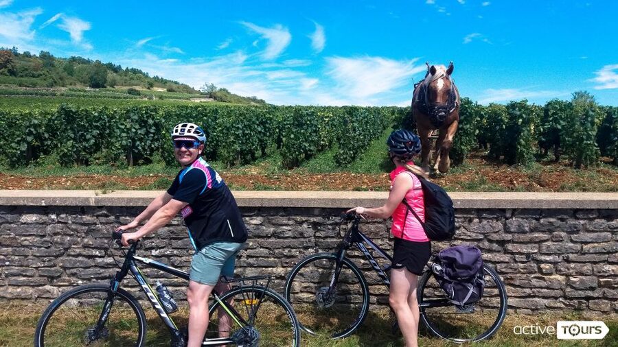 Beaune: Winery Tour by Bike with Wine Tasting - Why cycling is the right way to see Beaune’s wine country