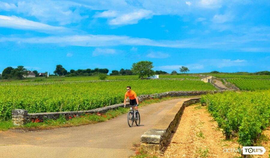 Beaune: Winery Tour by Bike with Wine Tasting - Pommard, where the vineyard ride begins