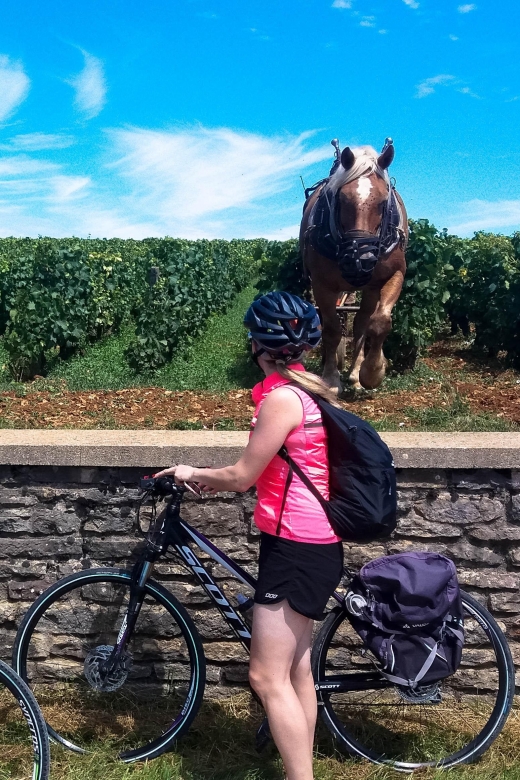Beaune: Winery Tour by Bike with Wine Tasting - Tasting among the vines