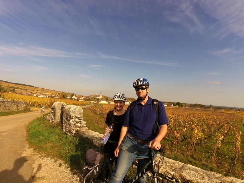 Beaune: Winery Tour by Bike with Wine Tasting - Starting beside the Parc de la Bouzaize