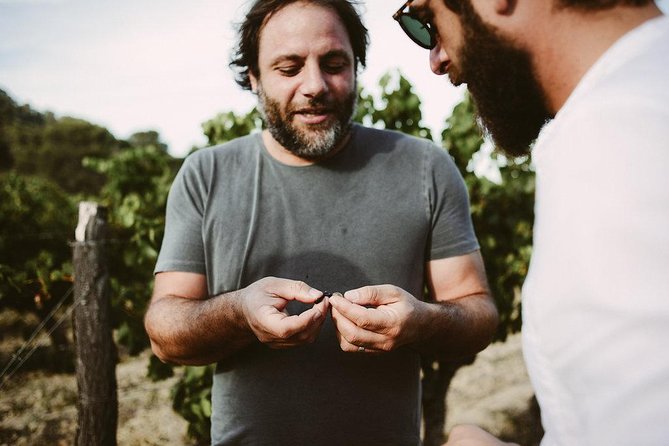 Bertrand Bosc wine and food tour in Pic St Loup - Key points to know before booking