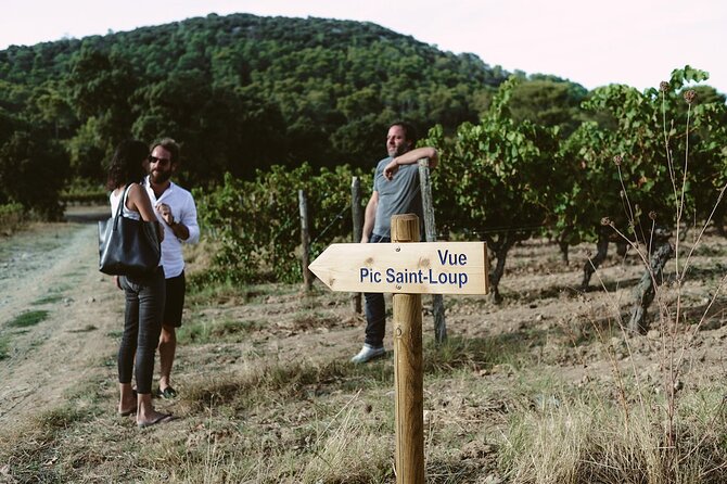Bertrand Bosc wine and food tour in Pic St Loup - The second tasting and the countryside drive