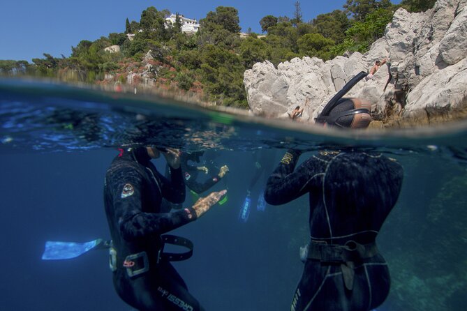 Boat trip and snorkeling in Villefranche - sur - Mer - About an hour among fish and rocky sea life