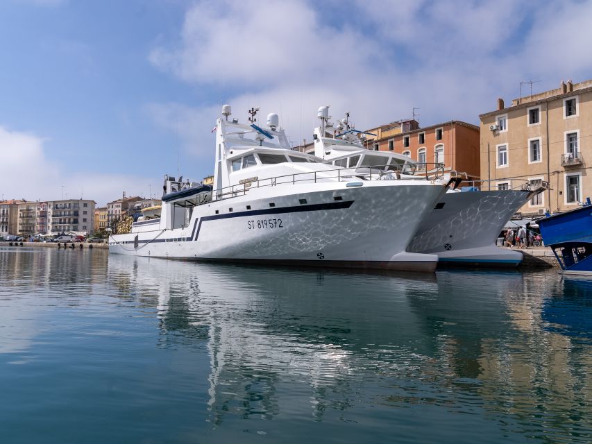 Boat walk in Sete on the singular island 1 hour - Key points to know before boarding