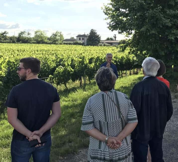Bordeaux: Explore an Organic Family Vineyard with Tasting - Meeting Bordeaux through a family vineyard