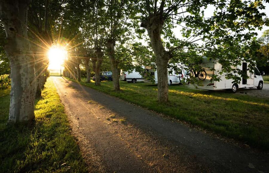 Bordeaux: Explore an Organic Family Vineyard with Tasting - Tasting up to 10 wines