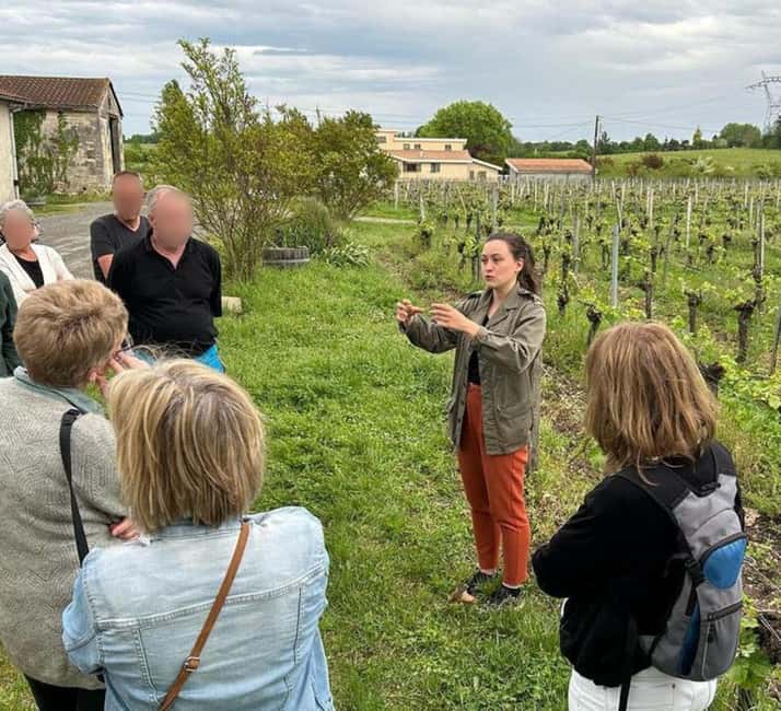 Bordeaux: Explore an Organic Family Vineyard with Tasting - Why the family setting matters