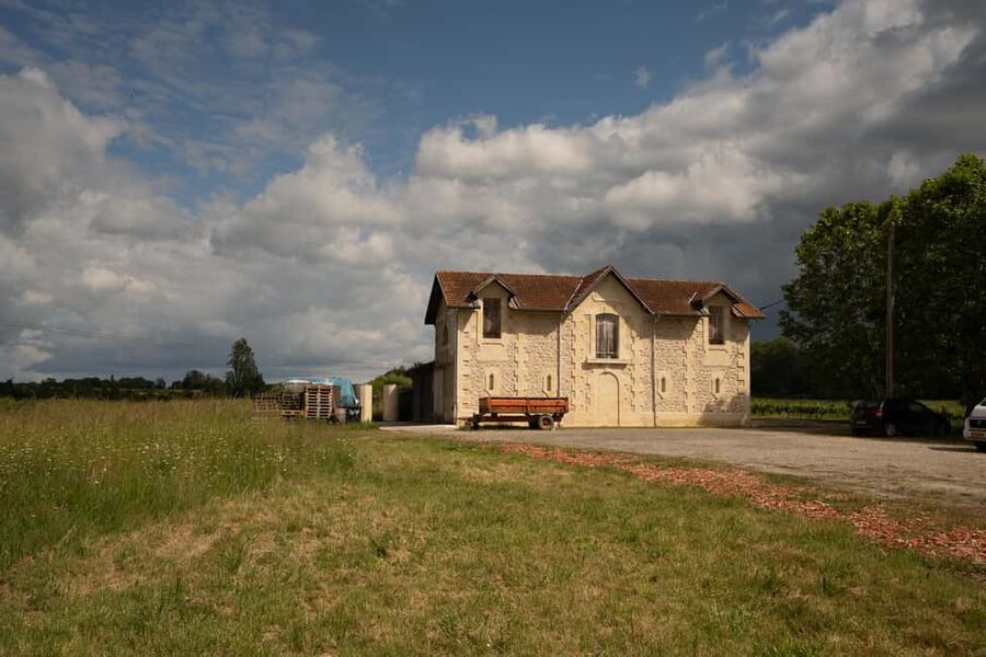 Bordeaux: Explore an Organic Family Vineyard with Tasting - The practical side of the visit