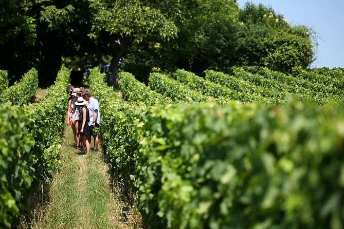 Bordeaux Full day Medoc and St Emilion 3 chateaux with Lunch - Why this Bordeaux wine day works