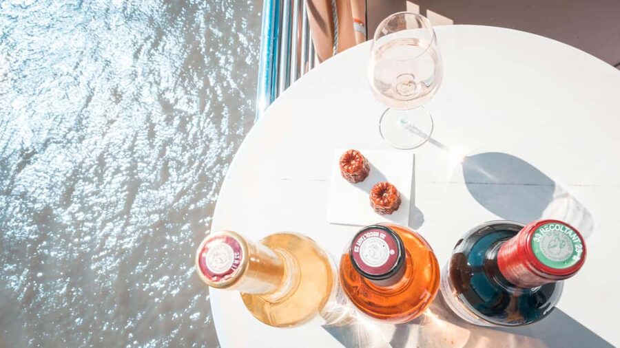 Bordeaux: Guided Wine and Canelé Discovery Cruise - What the guide adds to the boat ride