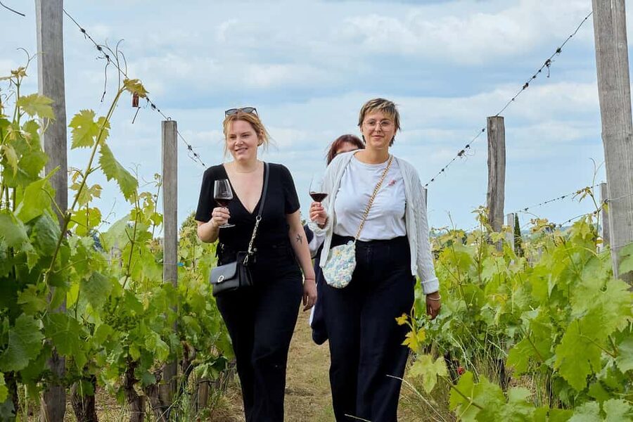 Bordeaux: Half-Day Margaux Tour with Wine Tastings - The classified grand cru château visit