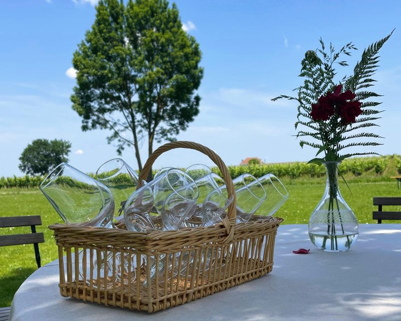 Bordeaux: Médoc & St-Emilion Wine 3 châteaux with lunch - Timing, comfort, and small practical details