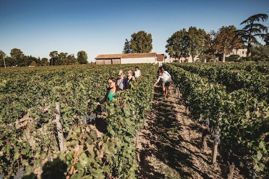 Bordeaux: St-Emilion and Medoc Wine Day Tour with Lunch - Key points to know before booking