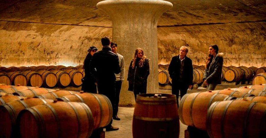 Bordeaux: St-Emilion and Medoc Wine Day Tour with Lunch - Why this Bordeaux wine day works