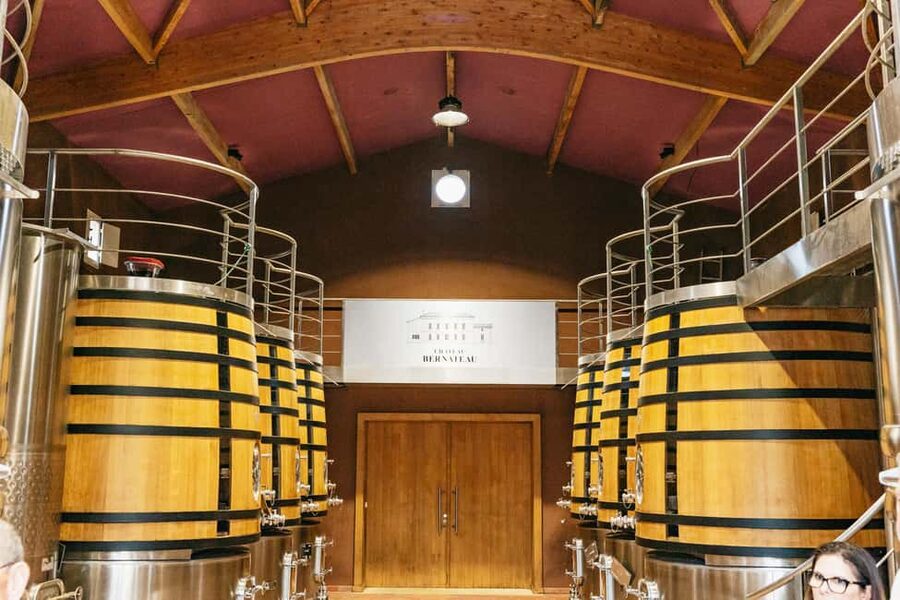 Bordeaux: St. Emilion Day Trip with Wine Tasting and Lunch - Should you book the Saint-Émilion day trip?