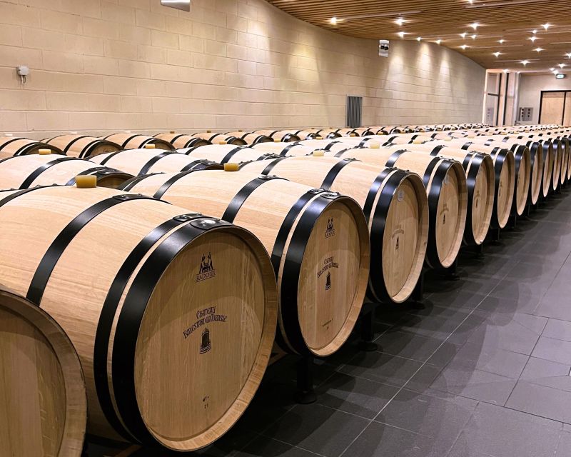 Bordeaux: St-Emilion Vineyards e-Bike Tour with Wine & Lunch - Famous names from the saddle