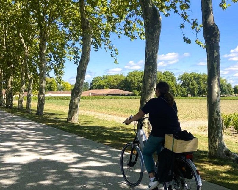 Bordeaux: St-Emilion Vineyards e-Bike Tour with Wine & Lunch - Weather, timing, and group comfort