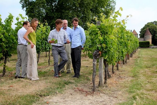 Bordeaux Super Saver Wine Tasting class and St Emilion region - Who should book this Bordeaux wine tour?