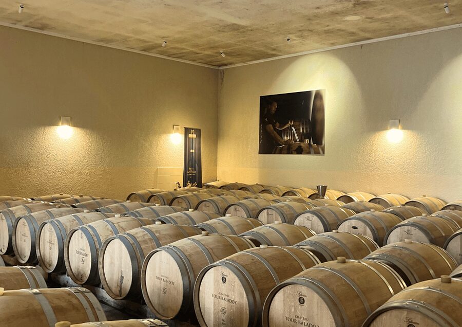 Bordeaux : Unforgettable Saint Emilion Half Day Wine Tour - Leaving Quinconces Square for the wine country