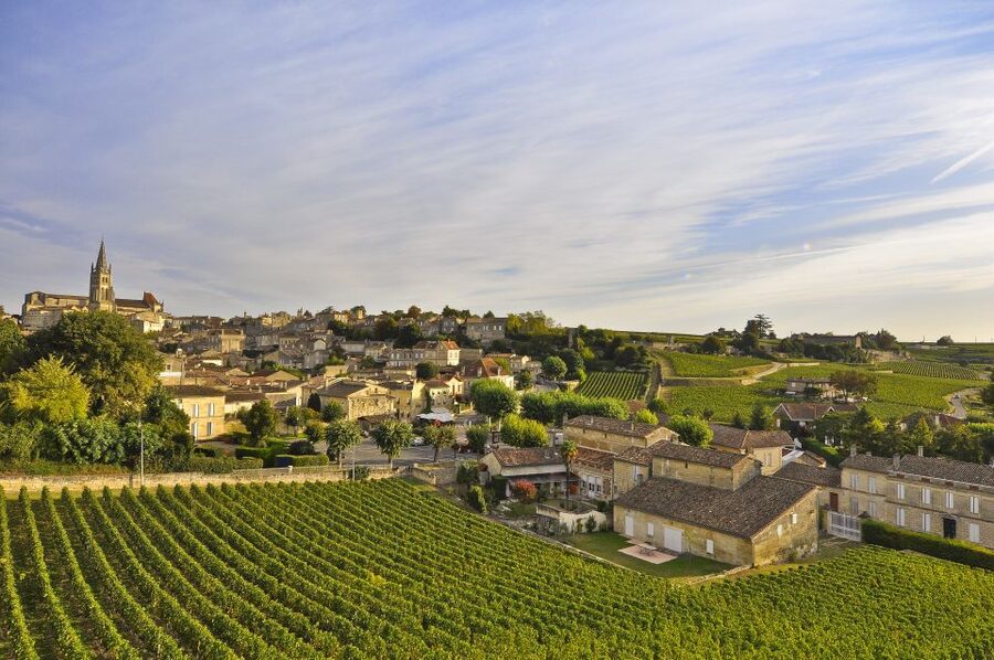 Bordeaux: Vineyards Wine Tasting Half-Day Trip - Graves and Sauternais on Wednesday
