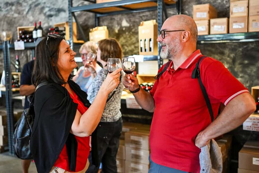 Bordeaux: Vineyards Wine Tasting Half-Day Trip - Entre-deux-Mers on Thursday