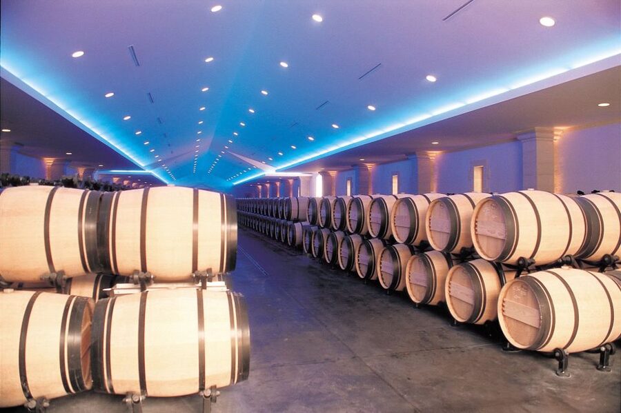 Bordeaux: Vineyards Wine Tasting Half-Day Trip - What the guide and coach add