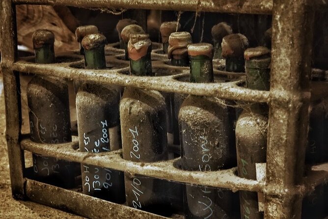 Bordeaux Wine and Trade Museum Admission Ticket with Wine Tasting - Who will enjoy this Bordeaux experience most?