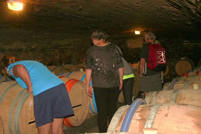 Burgundy Bike Tour with Wine Tasting from Beaune - Key points to know before you book