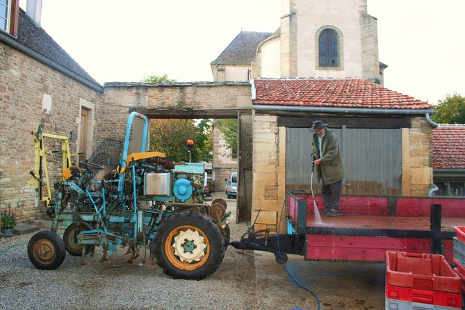 Burgundy Bike Tour with Wine Tasting from Beaune - Old cellars and three wines at Domaine Famille Picard