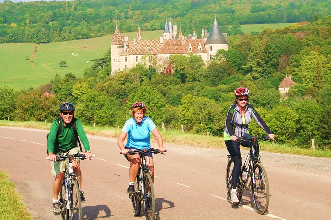 Burgundy Bike Tour with Wine Tasting from Beaune - A local lunch near Puligny-Montrachet