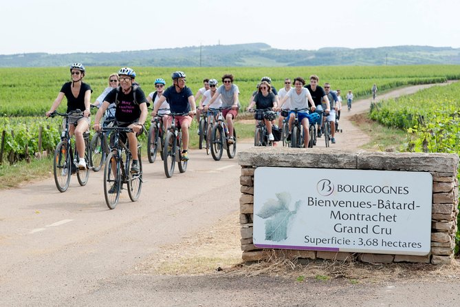 Burgundy Bike Tour with Wine Tasting from Beaune - The afternoon tasting around Pommard, Volnay, or Meursault