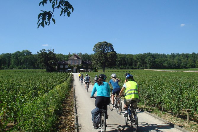 Burgundy Bike Tour with Wine Tasting from Beaune - What the guides add to the day