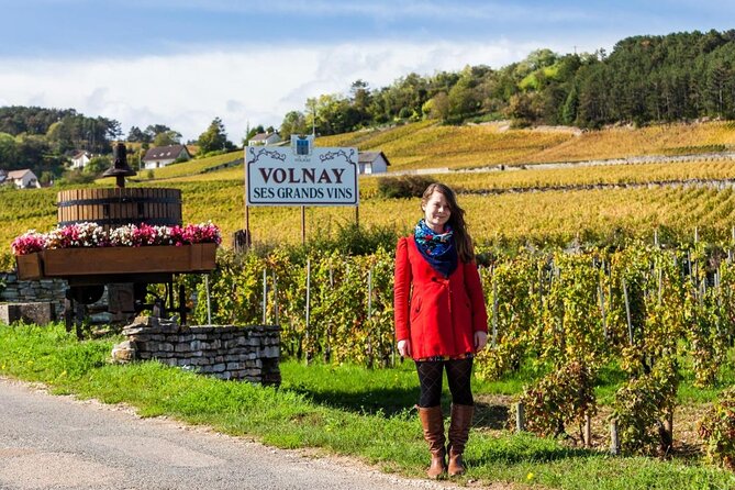 Burgundy Grand Crus Route Day Tour - 14 Wines Tastings in Domains - Key points at a glance