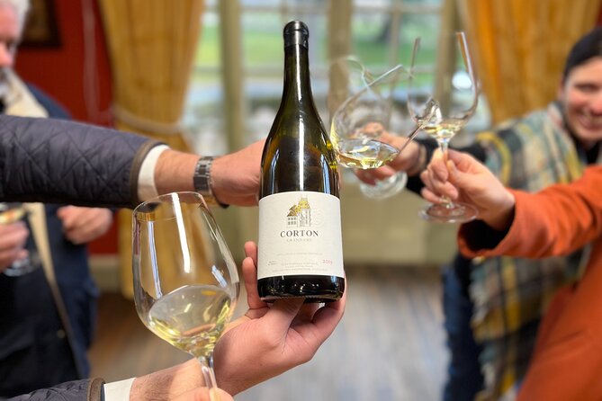 Burgundy Grand Crus Route Day Tour - 14 Wines Tastings in Domains - Why this Burgundy tour works for beginners and wine fans