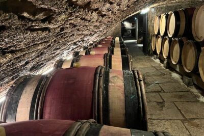 Burgundy Grand Crus Route Day Tour – 14 Wines Tastings in Domains