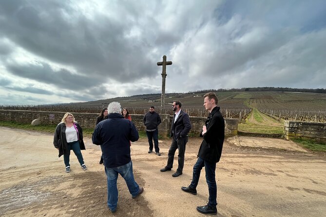 Burgundy Grand Crus Route Day Tour - 14 Wines Tastings in Domains - Tasting near Nuits-Saint-Georges
