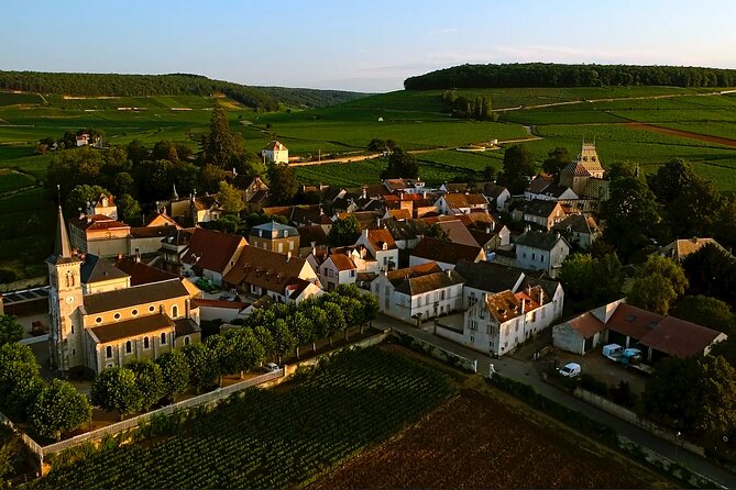 Burgundy Grand Crus Route Day Tour - 14 Wines Tastings in Domains - What $302.46 buys you