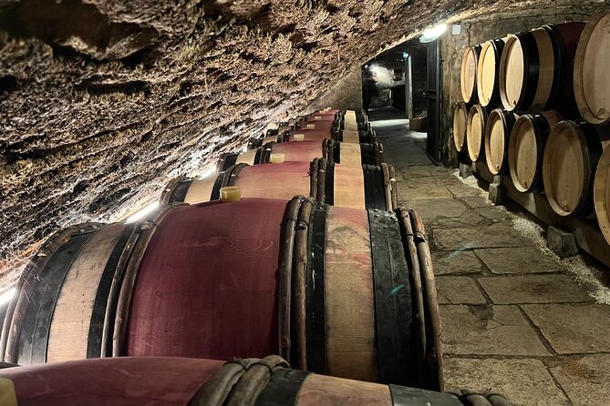 Burgundy Grand Crus Route Day Tour - 14 Wines Tastings in Domains - Starting in Beaune with a local domaine tasting