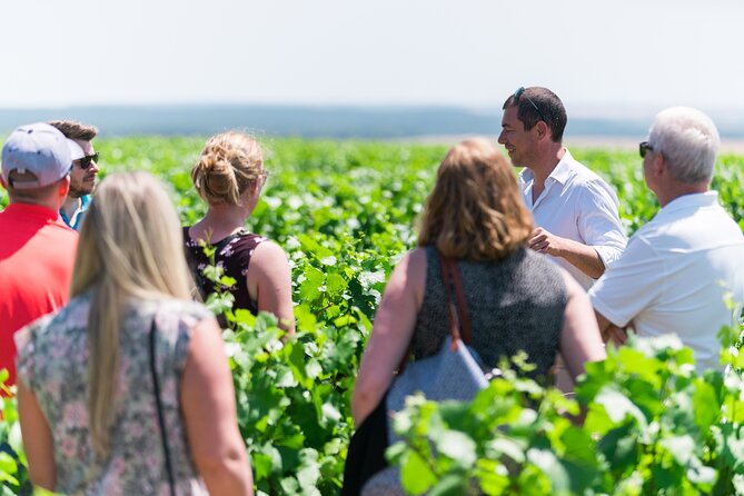 Burgundy Wine Tasting Small-Group Tour in Chablis from Paris - Jean-Marc Brocard and the first Chablis tasting