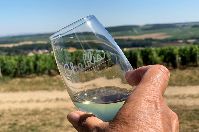 Burgundy Wine Tasting Small-Group Tour in Chablis from Paris - Who will enjoy this Burgundy day trip?