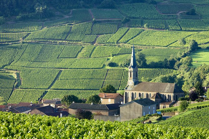 Burgundy Wine Tasting Small-Group Tour in Chablis from Paris - Chablis lunch: 90 minutes in a medieval wine town