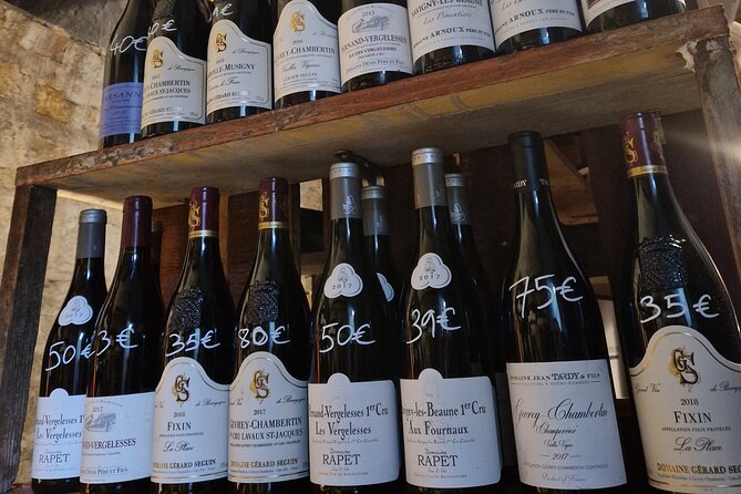 Burgundy Wines Masterclass in Dijon - A guide who adjusts the class to you